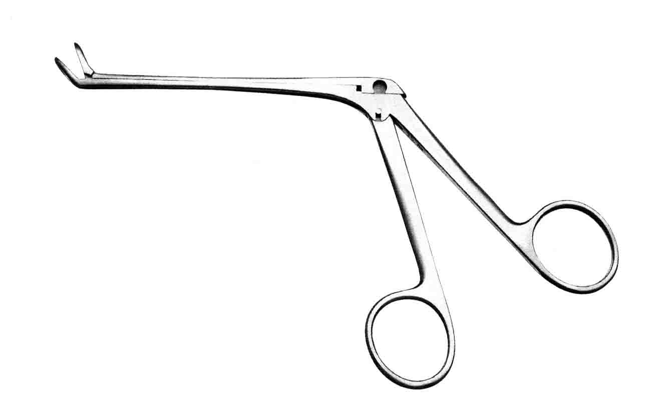 BLAKESLEY-WILDE RONJUR 10 CM